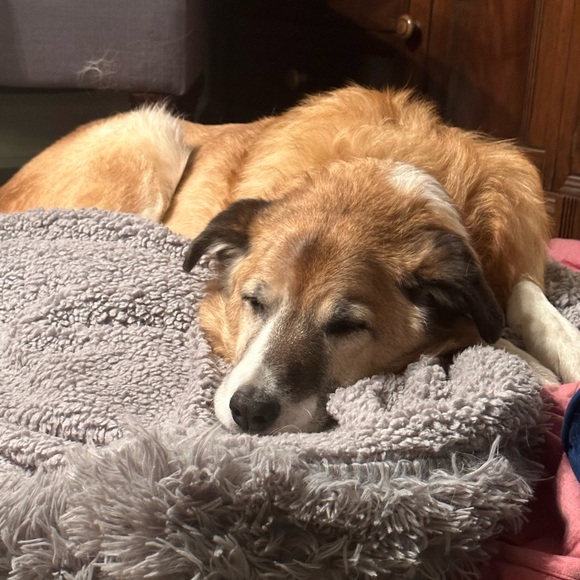 Meet your Posher, Ash - Picture 1 of 1